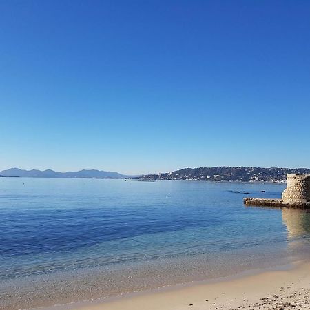 Appartement 2 Pieces, Renove, 2 Piscines+Tennis, Mer, Climatisation アンティーブ エクステリア 写真