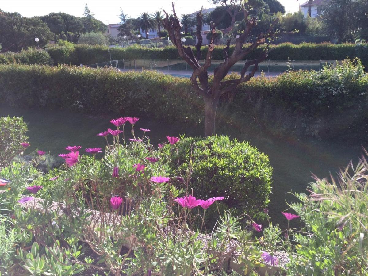 Appartement 2 Pieces, Renove, 2 Piscines+Tennis, Mer, Climatisation アンティーブ エクステリア 写真